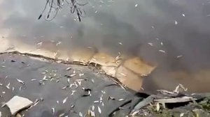 Отзыв о Пленке Винилит от клиента!