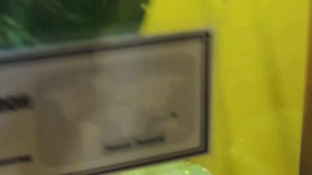 Зеленый питон. смотреть онлайн