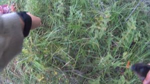 ловля хариуса