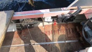 Летом на озере, ловлю хариуса на кораблик #ЛетоОзеро #ХариусКораблик #РыболовныйГид #ПогодаКарелии