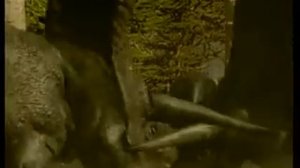 BBC. Прогулки с динозаврами.flv