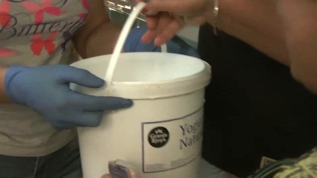 контрольная дойка первокотки. Порода коз Малагуенья. смотреть онлайн