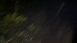 Рыбачим острогой,речная риба с картошкой на сковороде ночью!