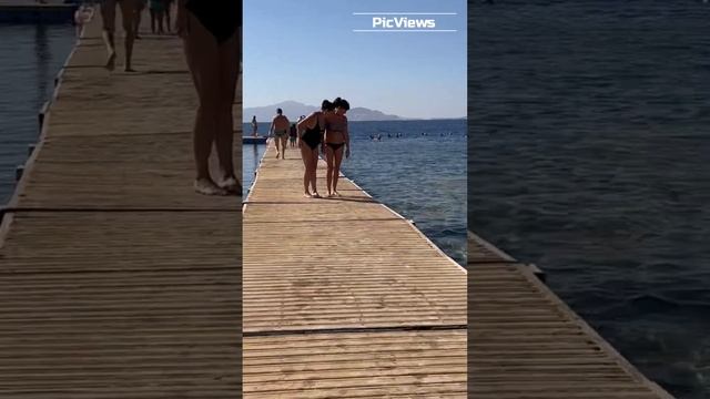 Пляж Сиерра Савой в Египте. Шарм-эль-Шейх. Погода и море в Египте декабрь 2023. Sierra-Savoy Египет