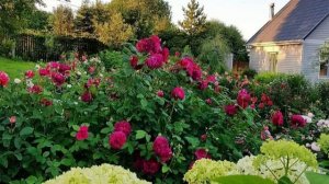 Русский сад.