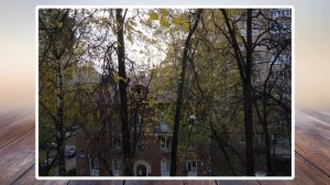 Обзор светосильного объектива для Nikon Tamron Aspherical LD XR DI II SP AF 17-50mm 1:2.8 [IF]