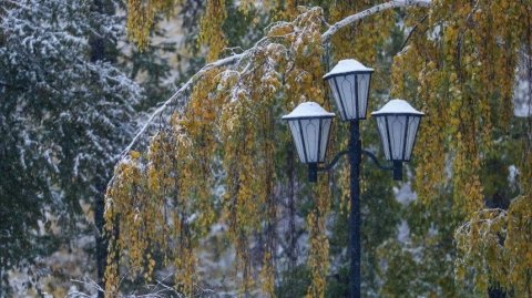 В Москве первый снег может выпасть 21 октября