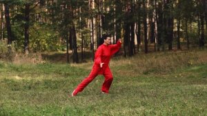 Таолу 28 форм тайцзицюань Ян ши