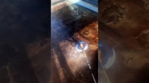Как  быстро помыть паласы и ковры .