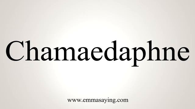 How To Pronounce Chamaedaphne смотреть онлайн