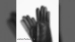 Женские кожаные перчатки Alpa Gloves.