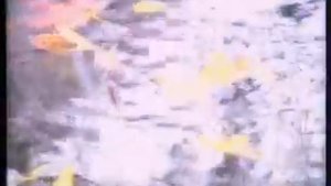 Артур Алиев. Осень.