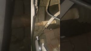 Стук двигателя (ремня) Renault Logan