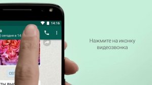 Видеозвонки в WhatsApp