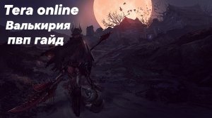 Валькирия пвп гайд tera online. Все основы о пвп валькирии