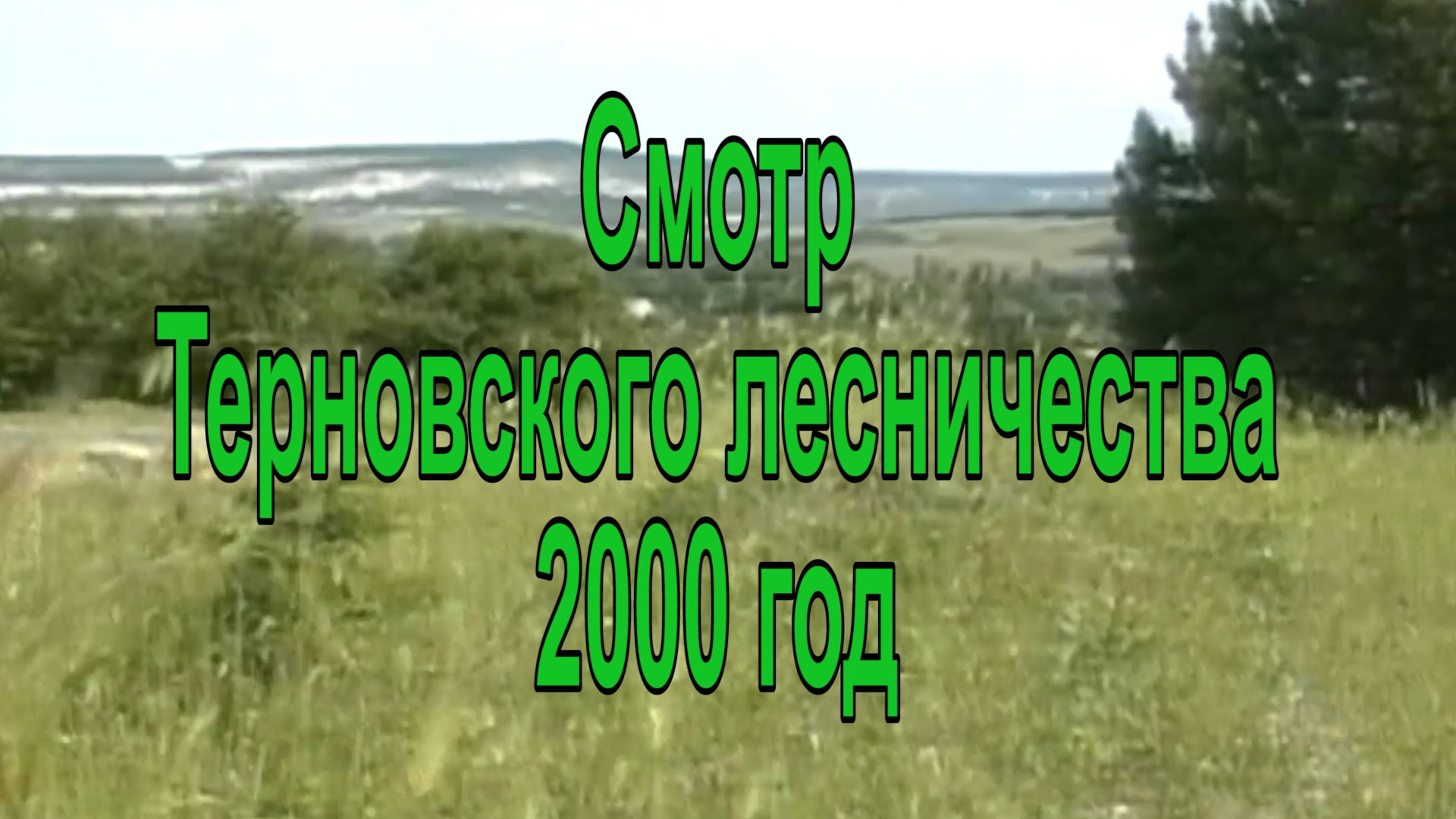 Смотр Терновского лесничества в 2000 году