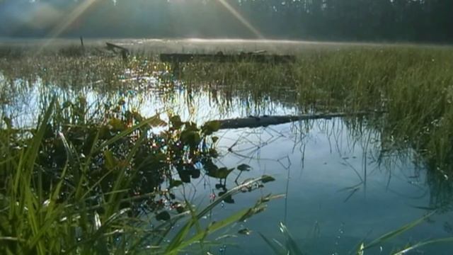 Chill Out Music смотреть онлайн