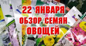 22 января. Обзор семян овощей на 2023 г.