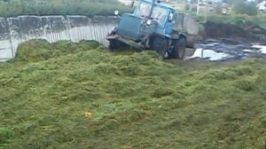 Т 150к на трамбовке