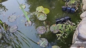 Ландшафтный ДИЗАЙН своими руками. Садовый участок- сад мечты