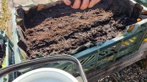 ПОСЕВ КАПУСТЫ НА РАССАДУ! УДАЧНЫЙ ПОСЕВ КАПУСТЫ! ВСЕГДА С УРОЖАЕМ!