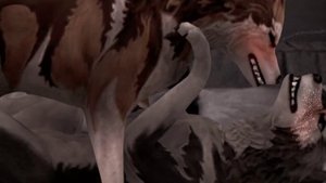 wcmv:нимфоманка