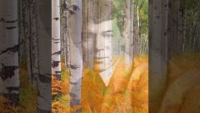 СЕРГЕЙ ЕСЕНИН " НЕ ЖАЛЕЮ, НЕ ЗОВУ, НЕ ПЛАЧУ " смотреть онлайн