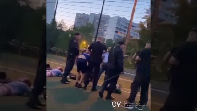 В Москве полиция задержала толпу мигрантов на детской площадке. Туда «футболисты» не пускали детей.
