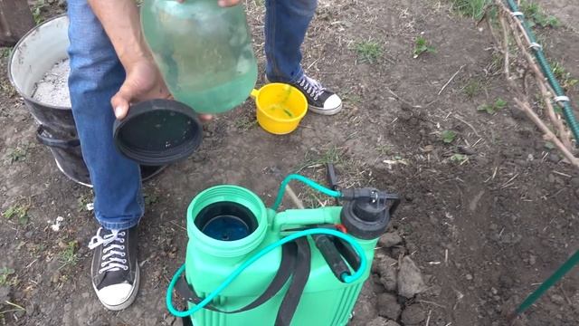 СРОЧНО СДЕЛАЙТЕ ЭТО СО СВОИМ ВИНОГРАДОМ! / ПОДКОРМКА ОБРАБОТКА ВИНОГРАДА ВЕСНОЙ смотреть онлайн