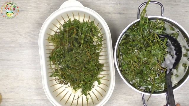 Маринованный портулак. Классная закуска из сорняка