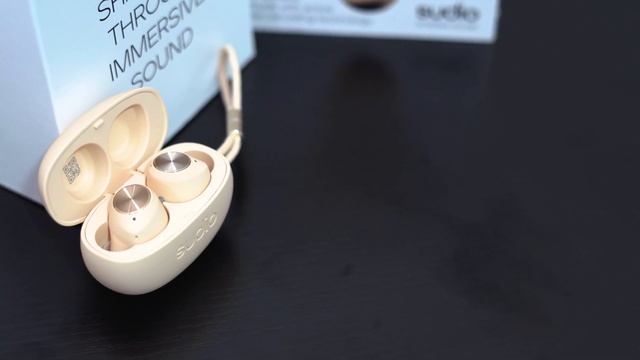 Sudio T2 Wireless Earbuds Unboxing and Overview