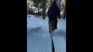 Электромопед Рига-16 зима январь - 15 тюб покатушки.