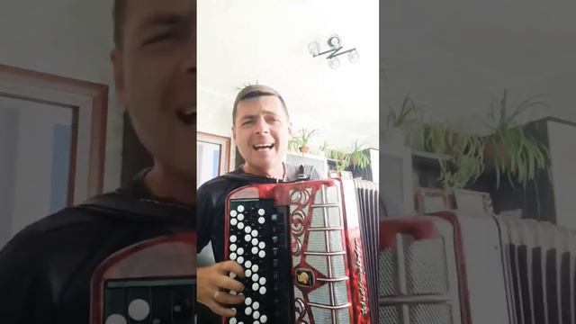 Когда стану я седым и старым 🎶🪗 #мемуары #баянист #подпишись