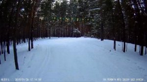 Лыжи Тиса для конькового хода. Текущая скорость. Tisa Top Skating на лыжной трассе