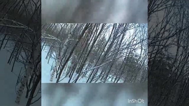 самодельный гусеничный вездеход давно некуда не ездил. болотоход , снегоболотоход, вездеход амфибия смотреть онлайн