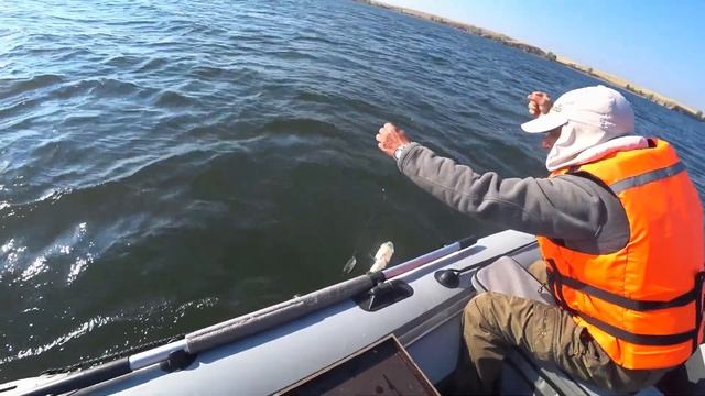 Судак на поставушки! Ириклинское водохранилище! смотреть онлайн