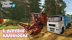 ?✅Farming Simulator 22? В ДЕРЕВНЕ КАЛИНОВКЕ