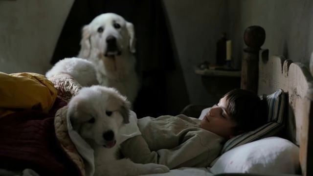 Что почитать: увлекательные книги про собак