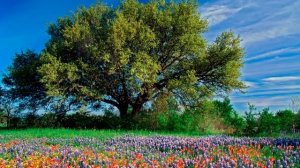 Мужчина захотел раздельный бюджет, женщина согласилась и подсчитала стоимость всего. Аудио рассказы