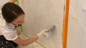 ЭФФЕКТ ЗАМШИ | Вариант нанесения | Краткий обзор объекта