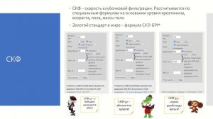 Почки / Проверить состояние почек / Здоровье почек / Креатинин повышен