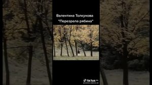 Валентина Толкунова: "Перезрела рябина."