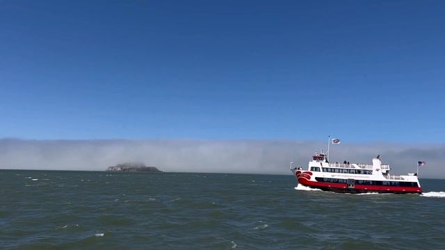Сан-Франциско #сша #санфранциско #америка #sanfrancisco #калифорния #путешествия #жизньвсша