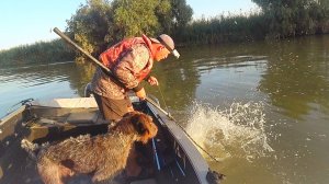 ТРИ ЯМЫ - ОДИН ТРОФЕЙ. РЫБАЛКА НА СОМА И САЗАНА. Август, на рыбалку с собакой.