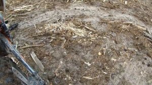 Питбайк Wels rt 125 19/16. Обзор и тест драйв. Отзыв владельца и покатушки!