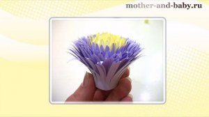 Поделки своими руками - цветы: астра и хризантема