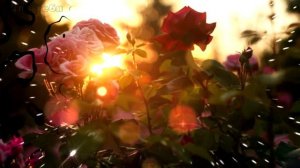 Добрый вечер ! Пожелания доброго вечера. Музыкальная открытка с добрым вечером!