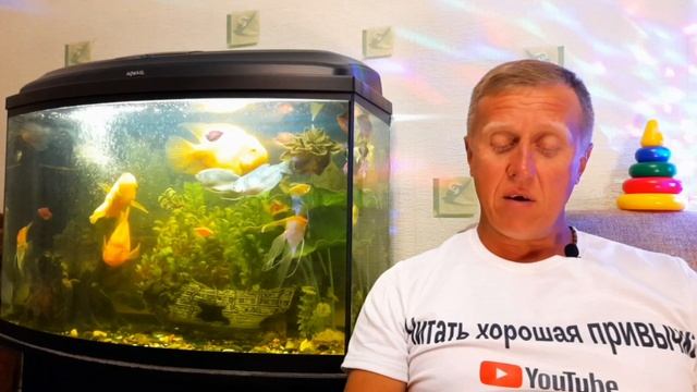 П. Бажов "Серебряное копытце" смотреть онлайн