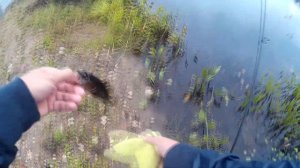 РОТАН на оснастку ВЭКИ на озере Лебяжье в Дубне