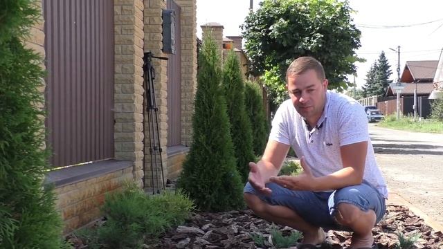 Мало-уходная клумба из можжевельников. Как оформить клумбу перед двором? Посадка можжевельников. смотреть онлайн
